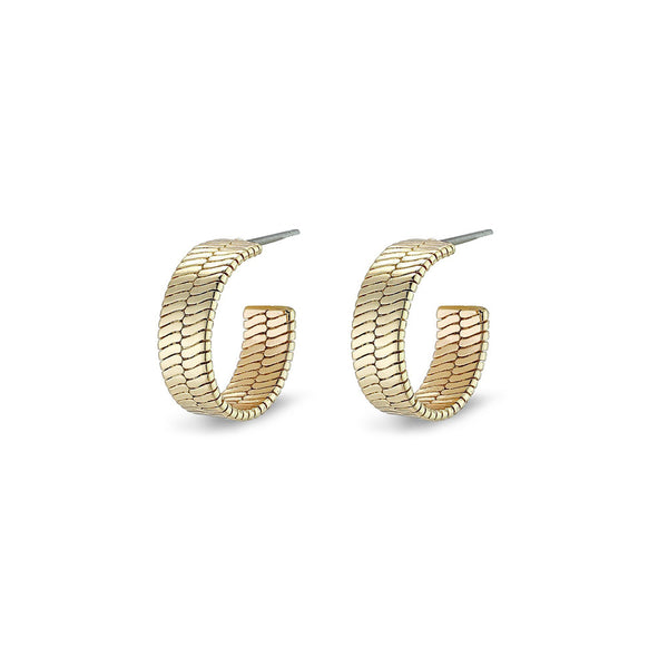 Yggdrasil Gold Plated Hoops