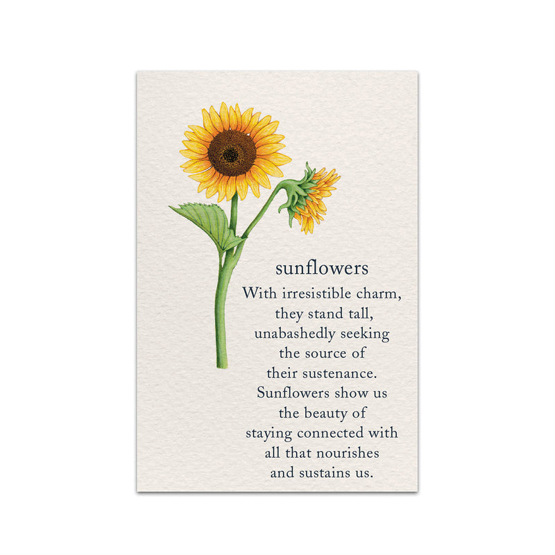 Sunflowers Birthday Card